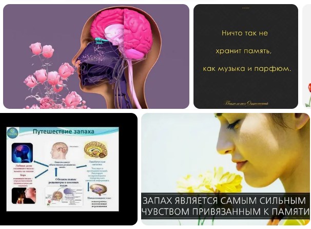 запахи и воспоминания